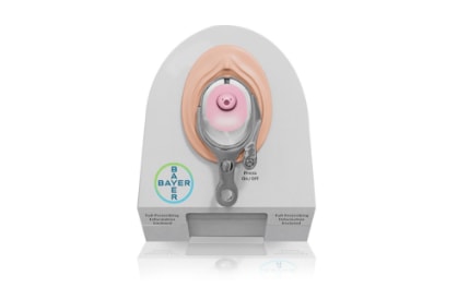 Desktop Uterine Model (BLIM) Desktop Uterine Model (BLIM)
