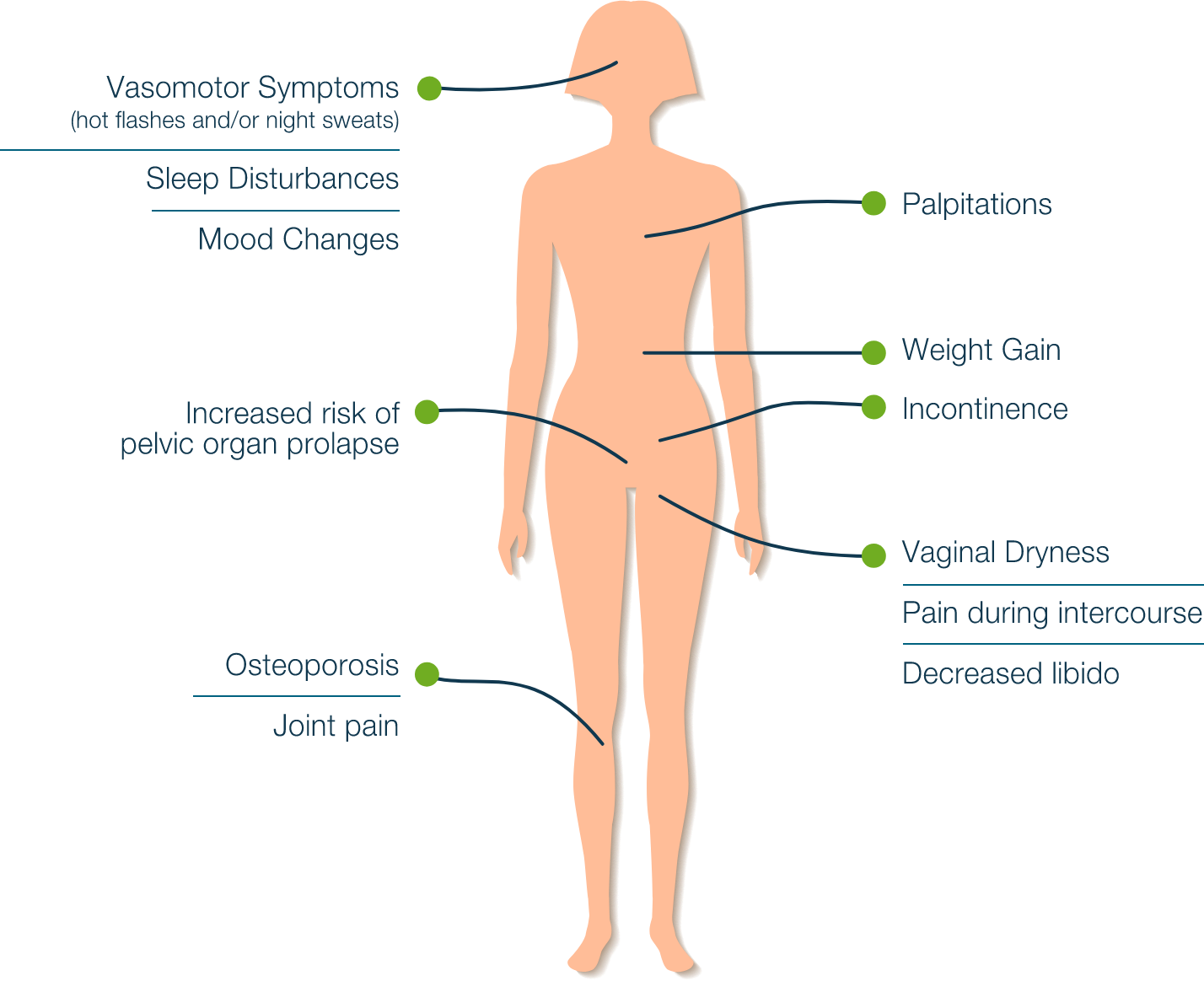 Symptoms Associated with Menopause Pictorial representation of symptoms associated with menopause