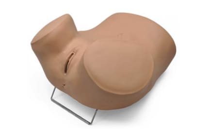 Full-sized female Lower Torso (Gaumard® ZOE®)