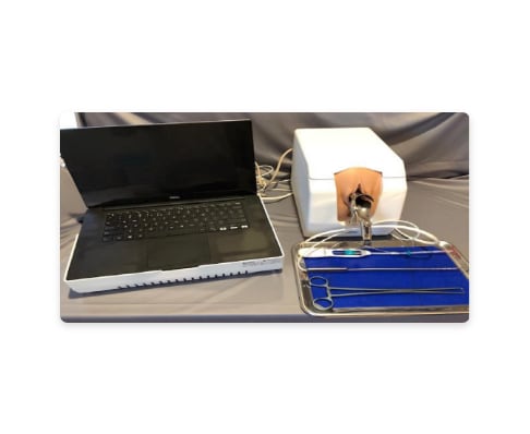 Pelvic Simulator (VirtaMed PelvicSimTM Mini)