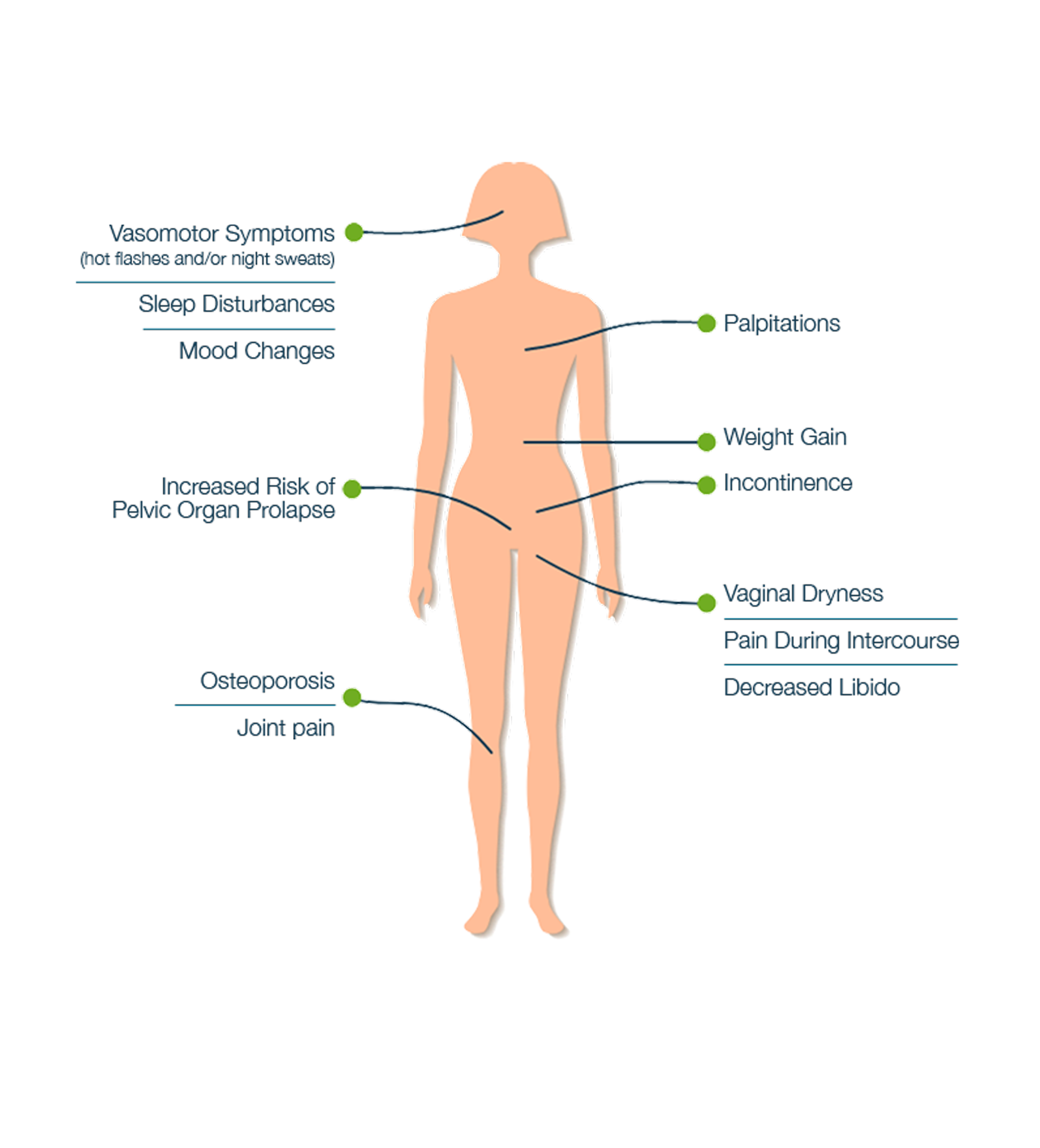 Pictorial representation of symptoms associated with menopause